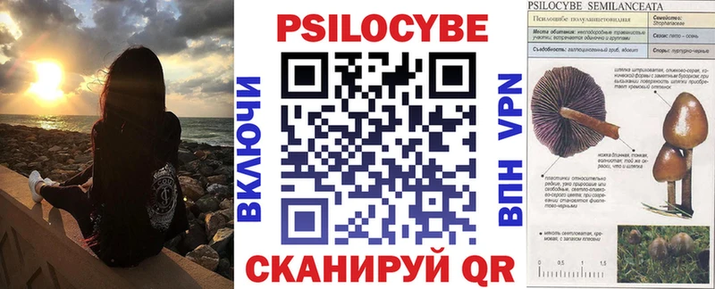 где можно купить   Харабали  Псилоцибиновые грибы мухоморы 
